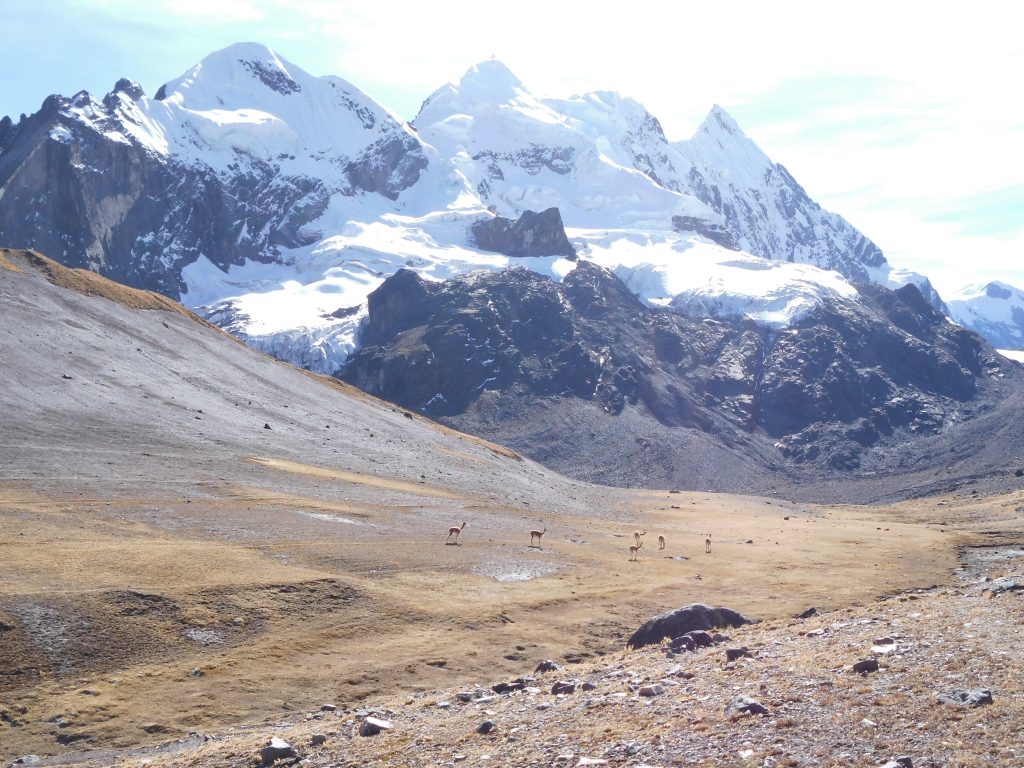 Hatunuma + Callangate, 6.100, Peru, Sept. 2012